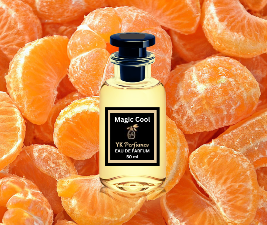 MAGIC COOL - Impression of ONE MILLION RABANNE